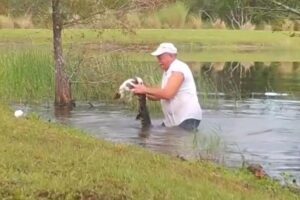 Ele lutou contra o crocodilo