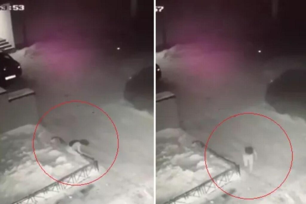 O vídeo do momento é impressionante!