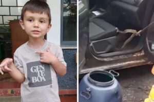 O menino de 4 anos não teve medo, diz a mãe