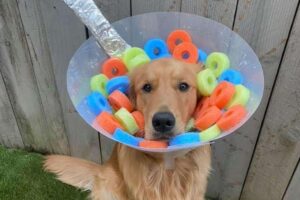 Jenn tentou deixar os dias de Finn mais felizes