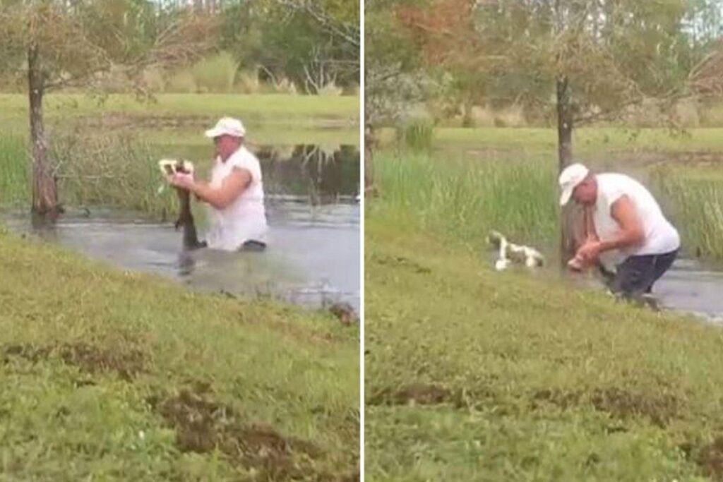 O homem chegou a abrir a mandíbula do animal para conseguir salvar o filhote de três meses