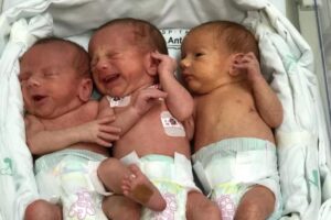 Os irmãos nasceram em Blumenau