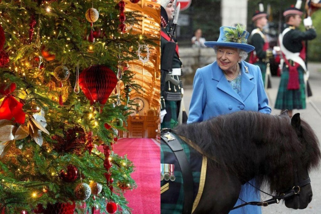 Decoração natalina da família real em 2020