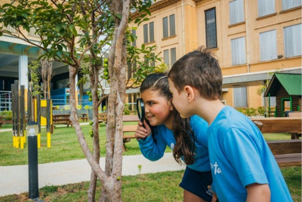 Veja as mudanças no Arqui Maristinha