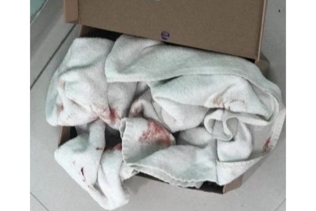 O bebê foi encontrado com vida