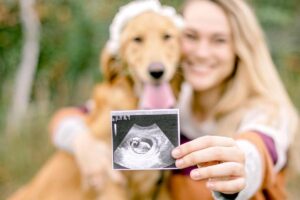 Lily foi resgatada grávida das ruas