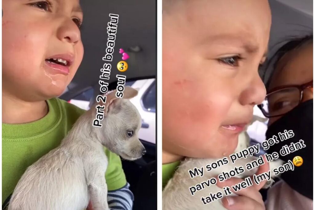 Ele chorou ao ver a cena