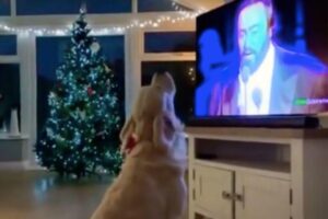 Ele fez ‘dueto’ com Pavarotti