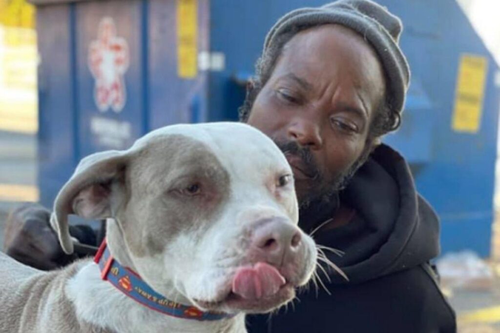 Ele salvou seis cachorros e dez gatos