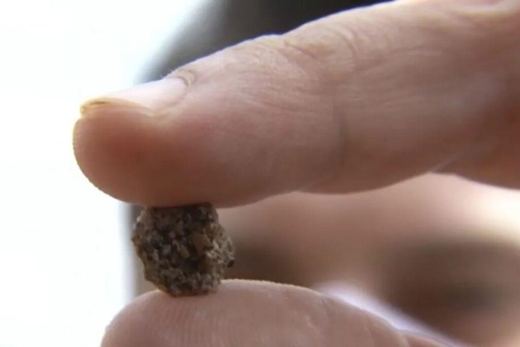 A menina estava brincando na porta de casa