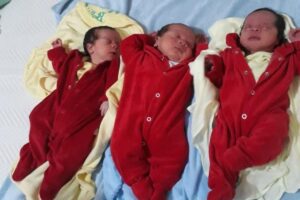 A vaquinha reuniu R$ 190 mil em menos de 24h