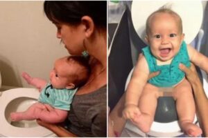 As imagens logo viralizaram