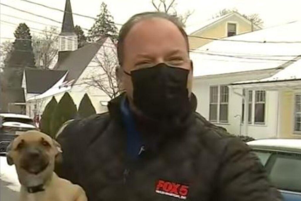 Bob Barnard, da FOX 5 DC, foi interrompido por um cachorro perdido ao vivo