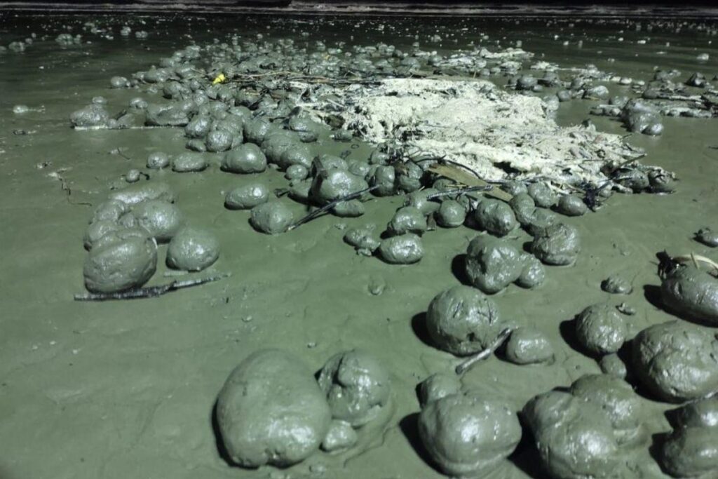 Elas intrigaram os moradores