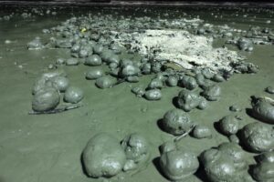 Elas intrigaram os moradores