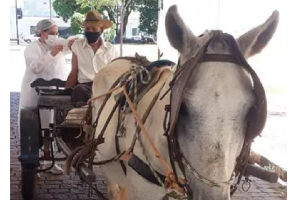 O idoso tomou a primeira dose da vacina na quarta-feiral