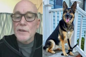 Sadie provou que é uma verdadeira heroína!