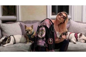 Lady Gaga oferece R$ 2,7 milhões por cachorros roubados