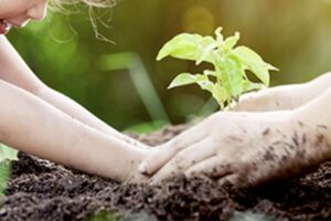 O contato com a natureza é fundamental para as crianças