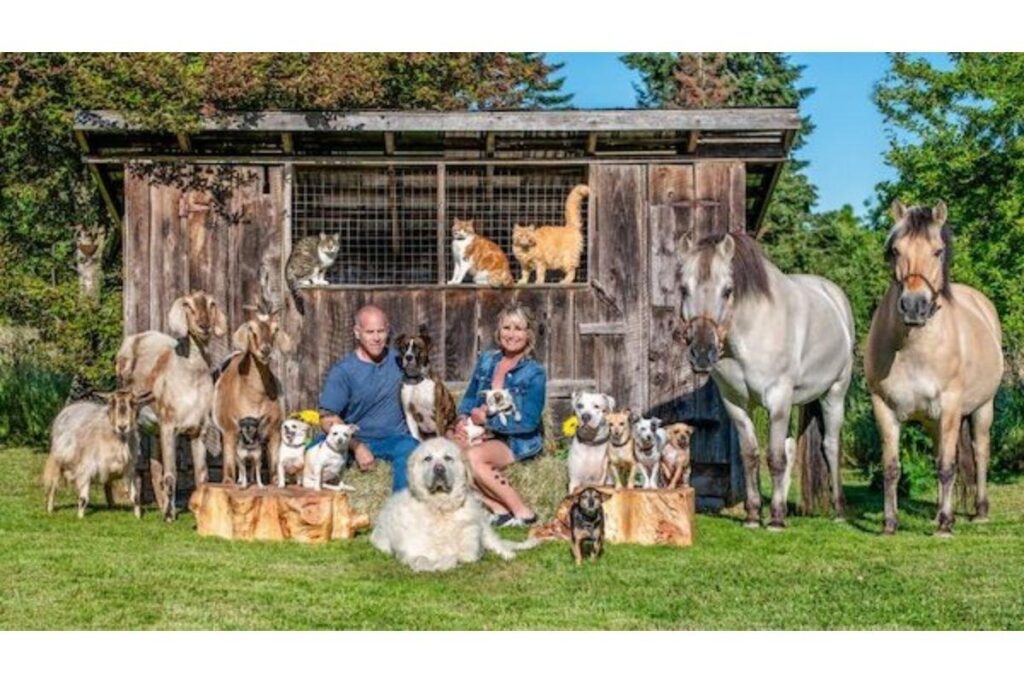 Os pets são parte da família!