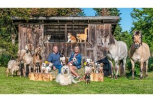 Os pets são parte da família!