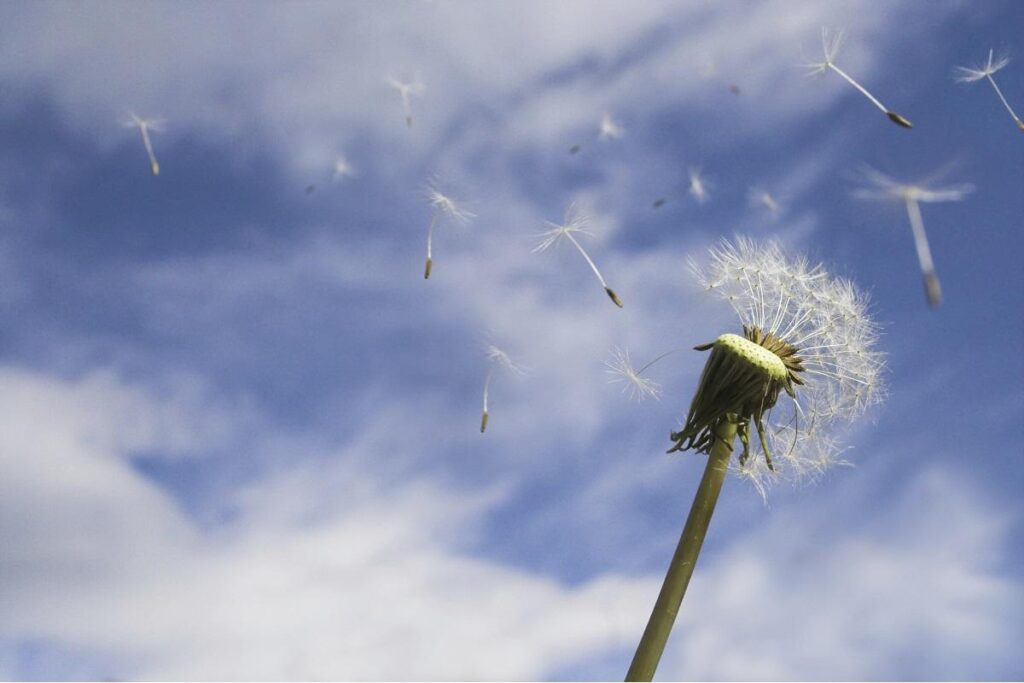 A rotina das famílias mudaram durante a pandemia