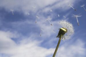 A rotina das famílias mudaram durante a pandemia