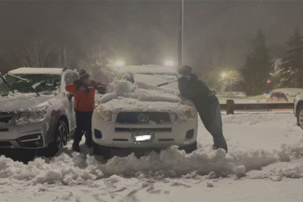 Eles limparam 80 veículos