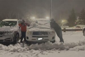 Eles limparam 80 veículos