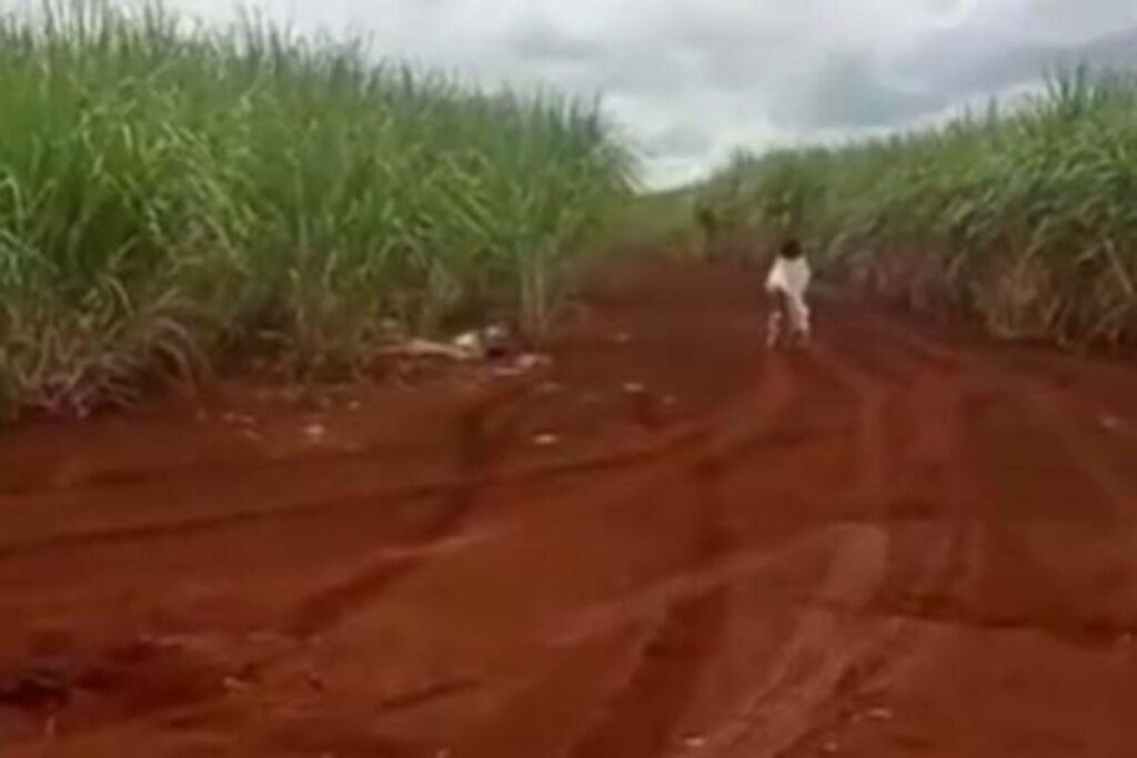 Vídeo de “menina fantasma” chama a atenção nas redes sociais