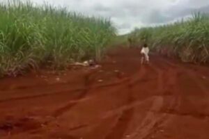 Vídeo de “menina fantasma” chama a atenção nas redes sociais