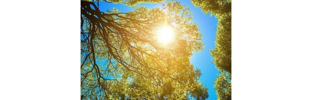 Daquele momento em diante seríamos nós três, sem o botão para chamar a enfermeira