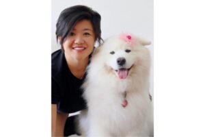 Cachorros brincando na piscina cobertura do parque de diversões