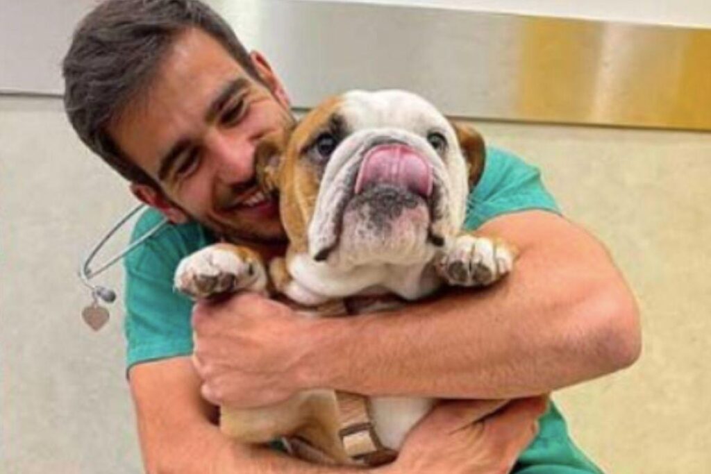 O veterinário encantou ao mostrar técnica infalível para aplicar vacina nos cachorros