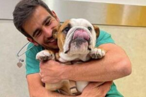 O veterinário encantou ao mostrar técnica infalível para aplicar vacina nos cachorros