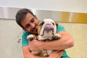 Veterinário dança com os pets na hora de aplicar a vacina