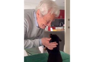 O avô ganhou um filhote de cachorro como presente do neto