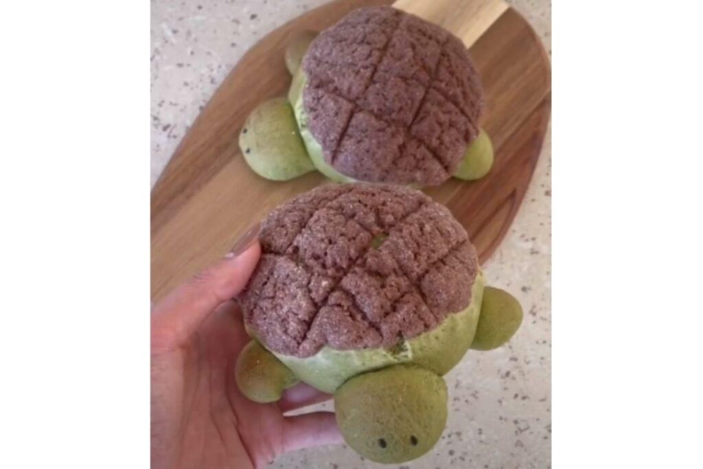 Aprenda a fazer o pão doce em formato de tartaruga