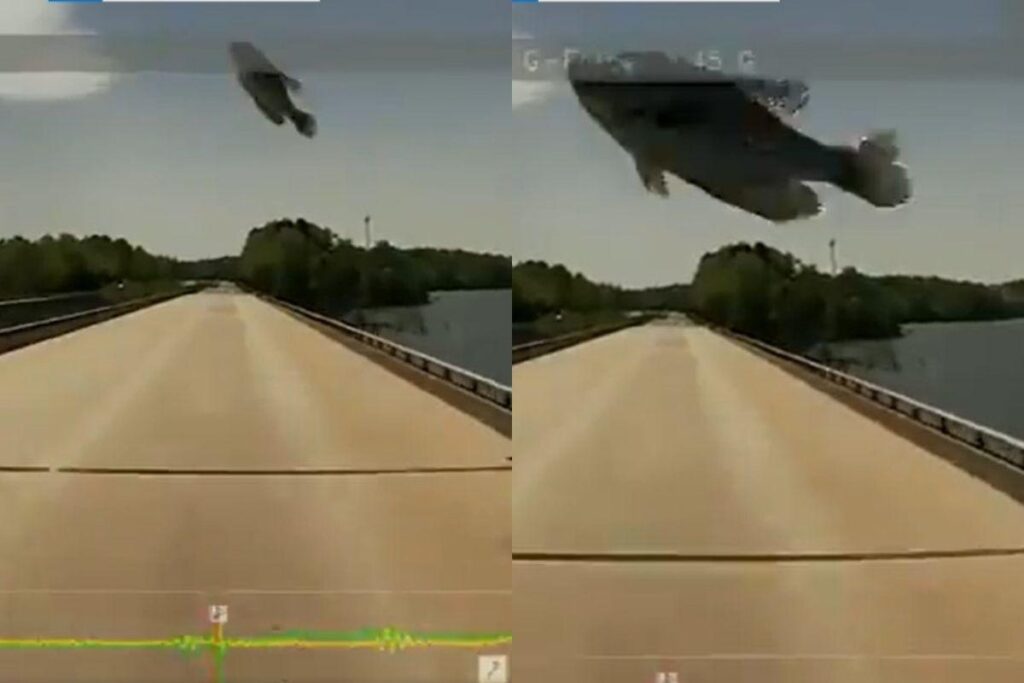 Peixe “voador” atinge vidro de caminhão no meio da estrada