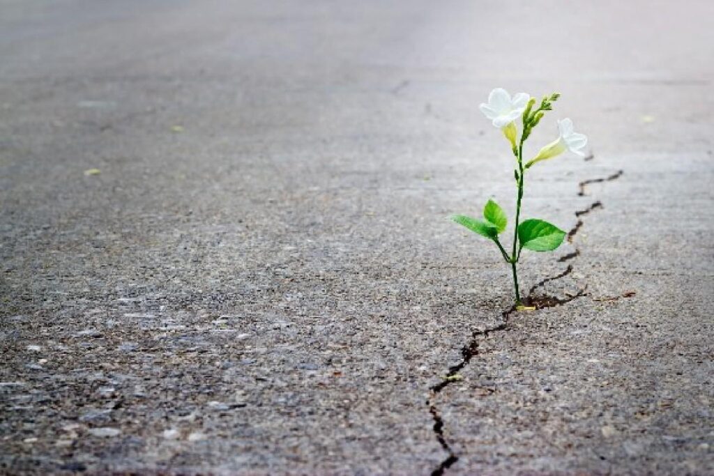 Antes de supor como seu filho irá desempenhar neste ano letivo, demonstre apoio