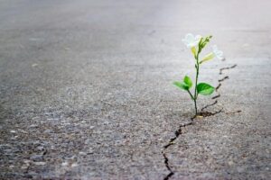 Antes de supor como seu filho irá desempenhar neste ano letivo, demonstre apoio