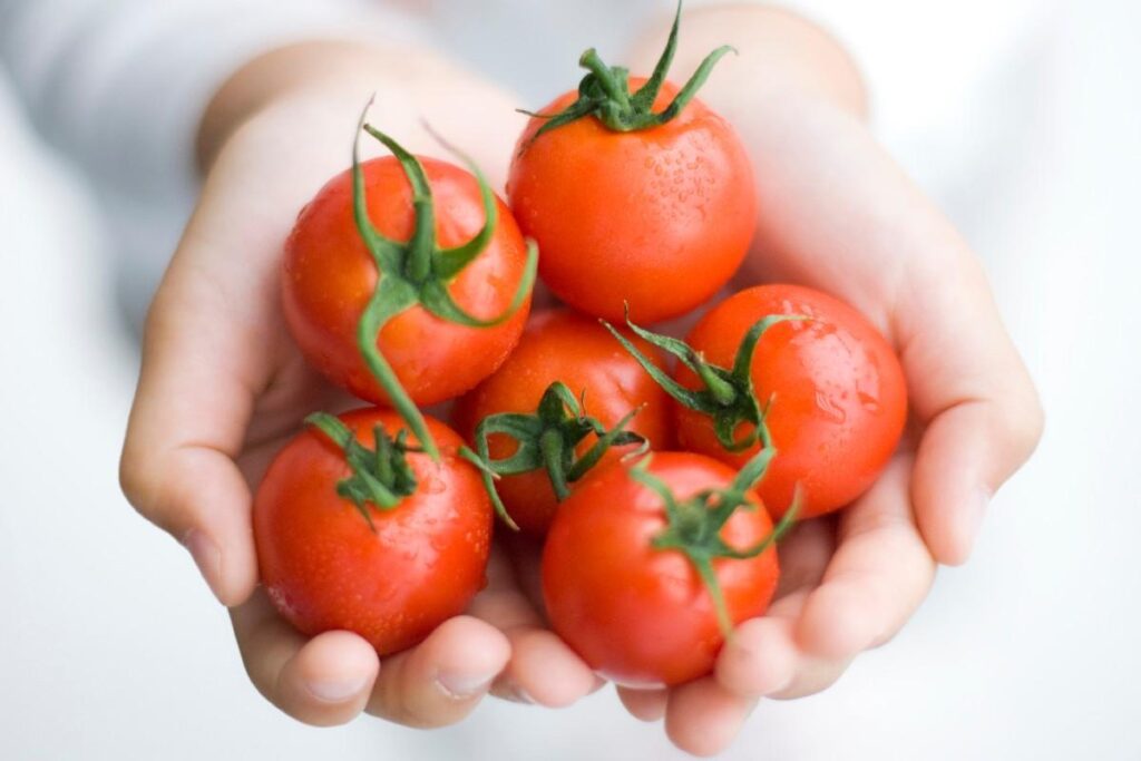 A vida sustentável não é nada barata