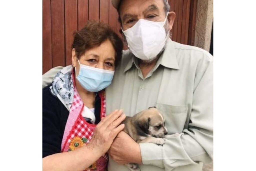 Ela adotou o filhote e fez uma surpresa para a avó