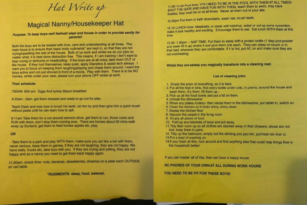 Hollis compartilhou a lista que recebeu ao se candidatar para uma vaga de babá no Twitter