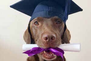 A foto de Ollie agora fica ao lado das irmãs