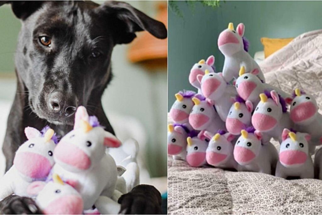 Rosie e Bindi amam bichos de pelúcia!