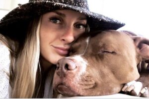 Pit Bull canta parabéns e encanta web