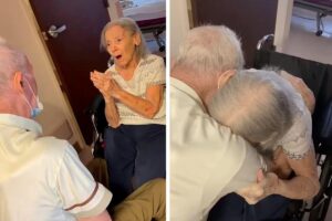 Casal de idosos se reencontram