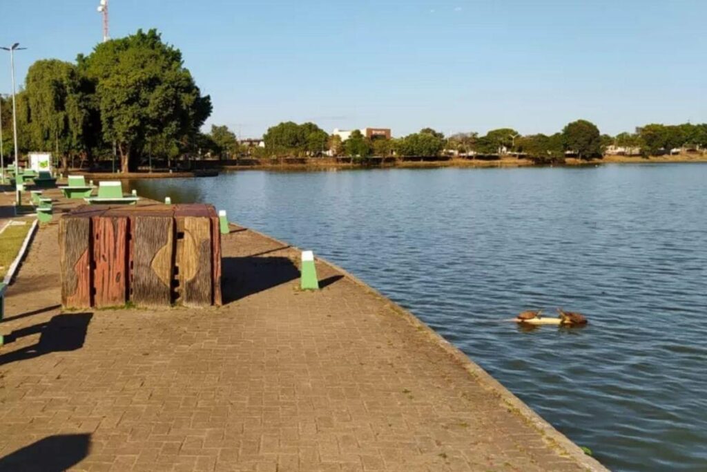 Babá salva criança de ataque de jacaré em Goiás: “Tirou ele da boca do animal”