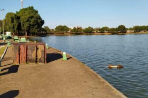 Babá salva criança de ataque de jacaré em Goiás: “Tirou ele da boca do animal”